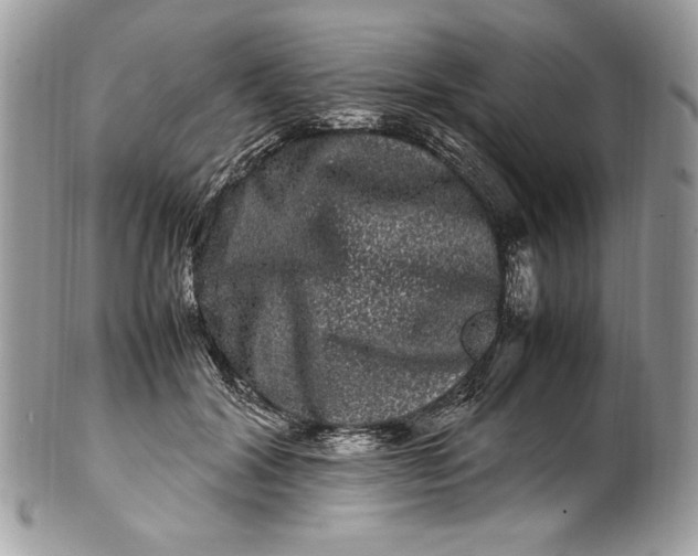 X0000100880604200807071128