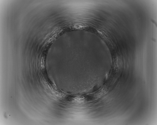 X0000100880606200807071128