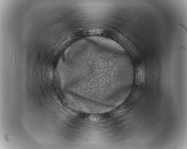 X0000100880608200807071128