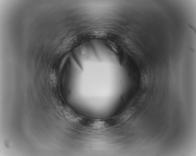 X0000100880609200807071128