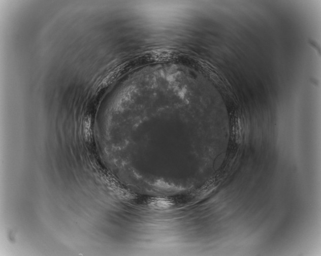 X0000100880610200807071128