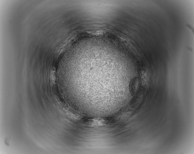 X0000100880612200807071128