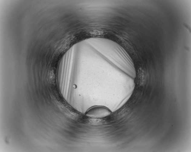 X0000100880614200807071128