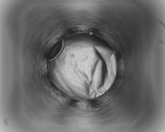 X0000100880615200807071128