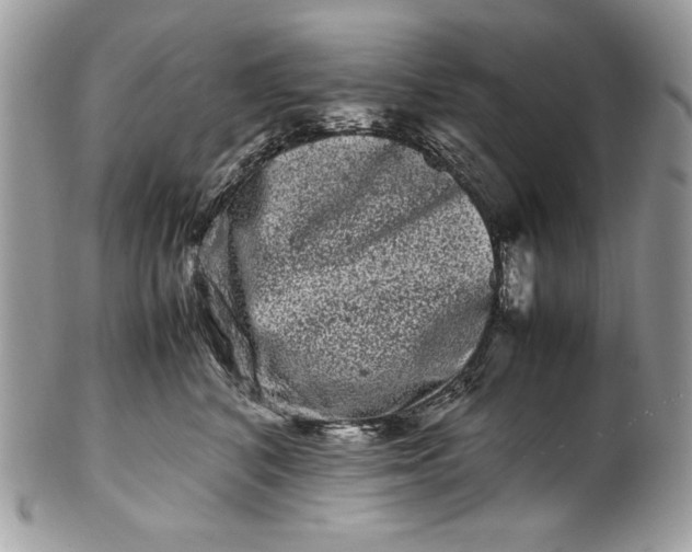 X0000100880616200807071128