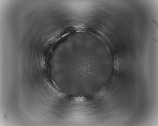 X0000100880618200807071128