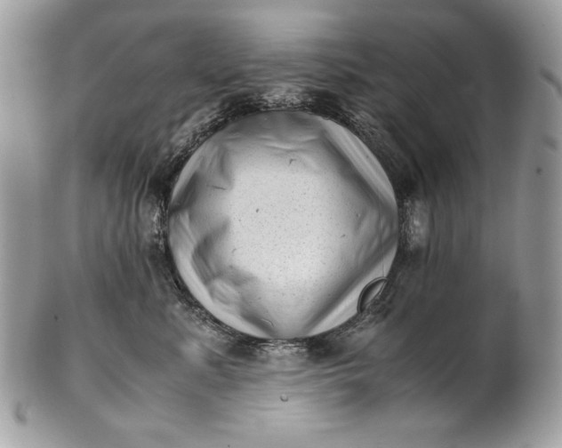 X0000100880619200807071128