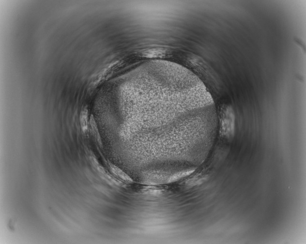 X0000100880620200807071128