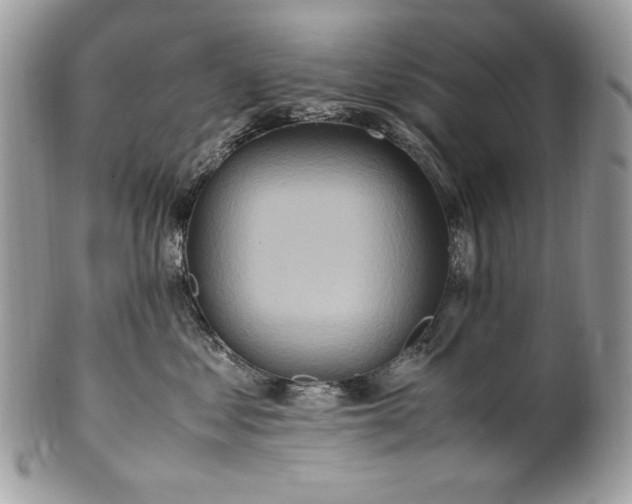 X0000100880621200807071128