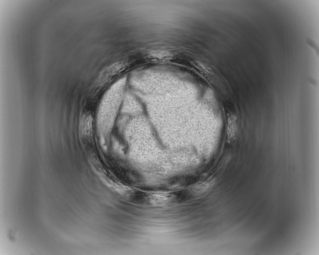 X0000100880623200807071128