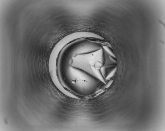 X0000100880624200807071128