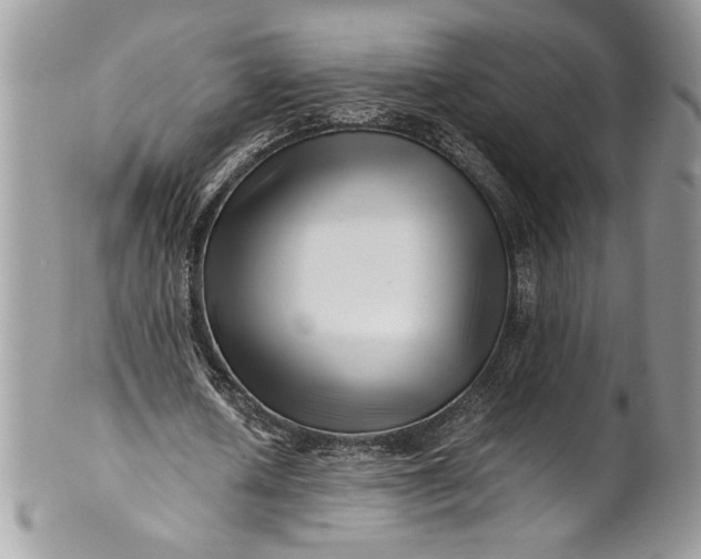 X0000100880626200807071127