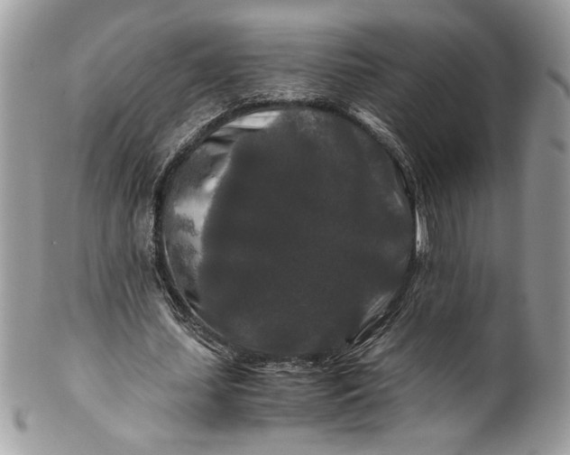 X0000100880627200807071127