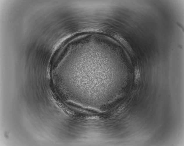 X0000100880628200807071127