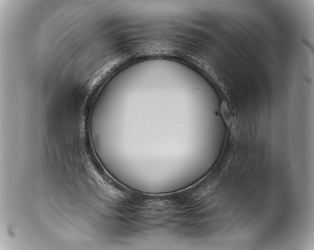 X0000100880629200807071127