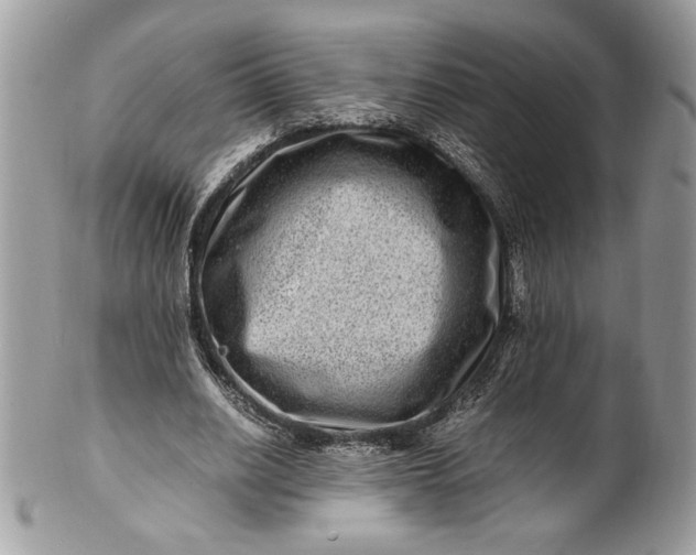 X0000100880630200807071127