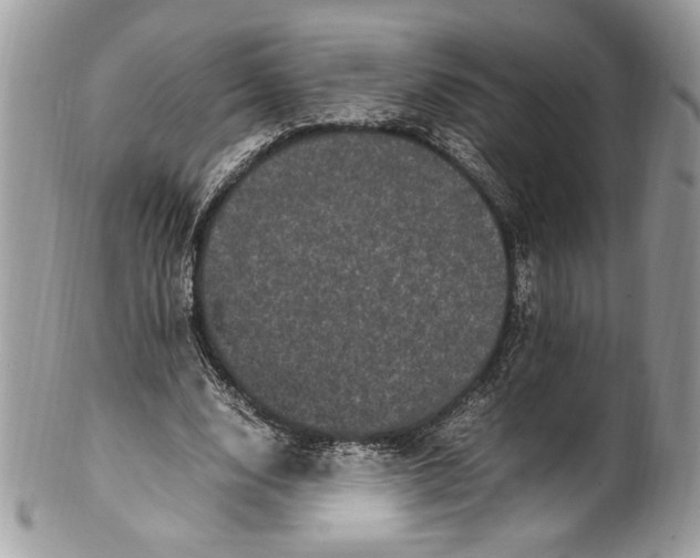 X0000100880632200807071127