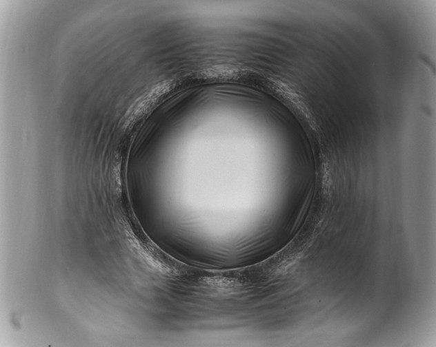 X0000100880633200807071127