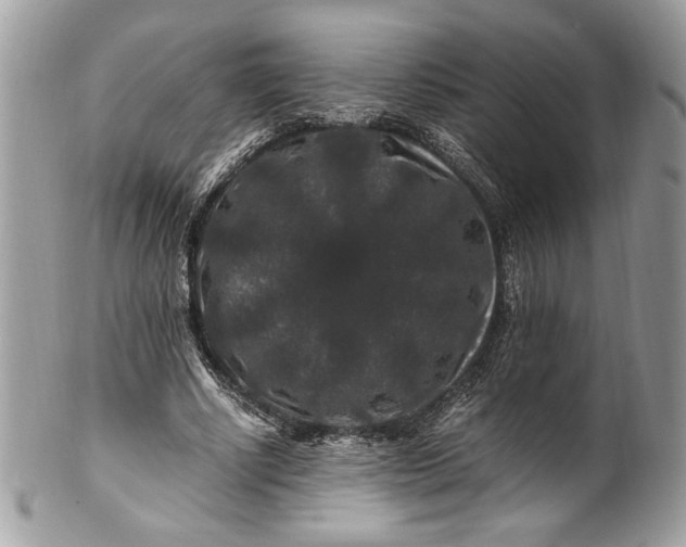 X0000100880634200807071127