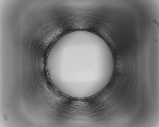 X0000100880635200807071127