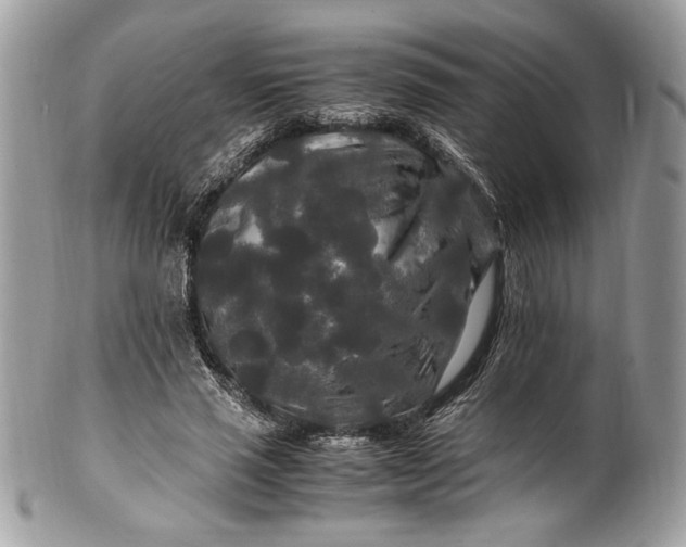 X0000100880637200807071127