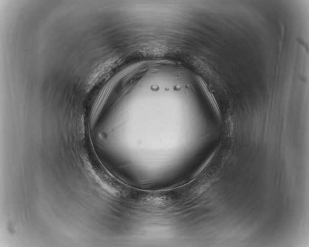 X0000100880638200807071127