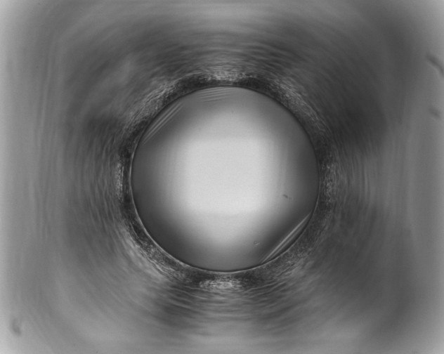 X0000100880639200807071127