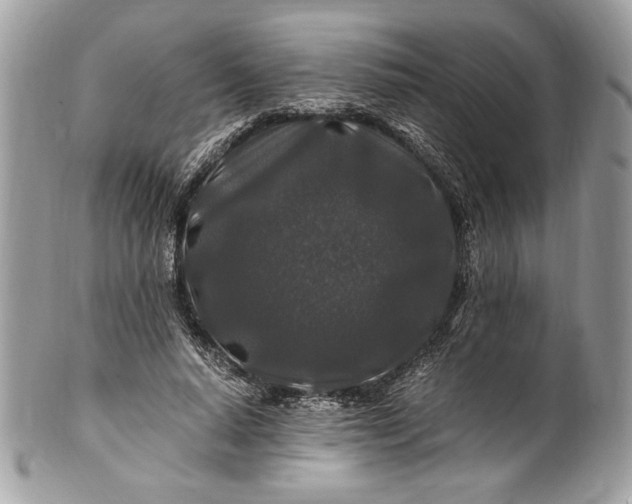 X0000100880640200807071127