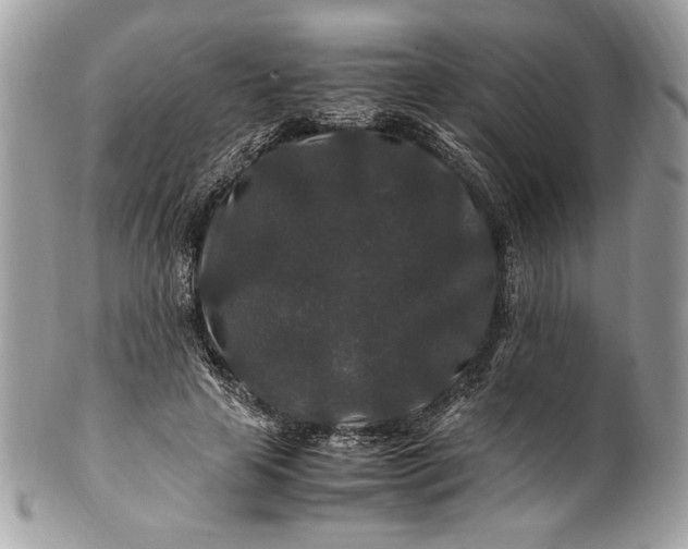 X0000100880641200807071127