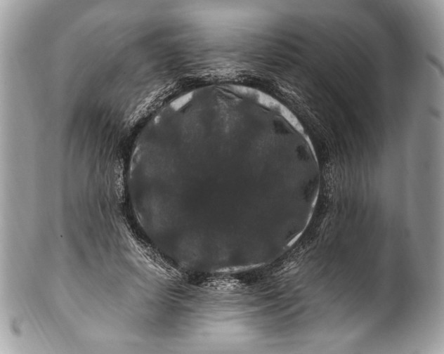 X0000100880642200807071127