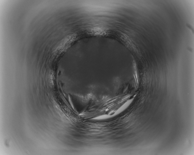 X0000100880643200807071127