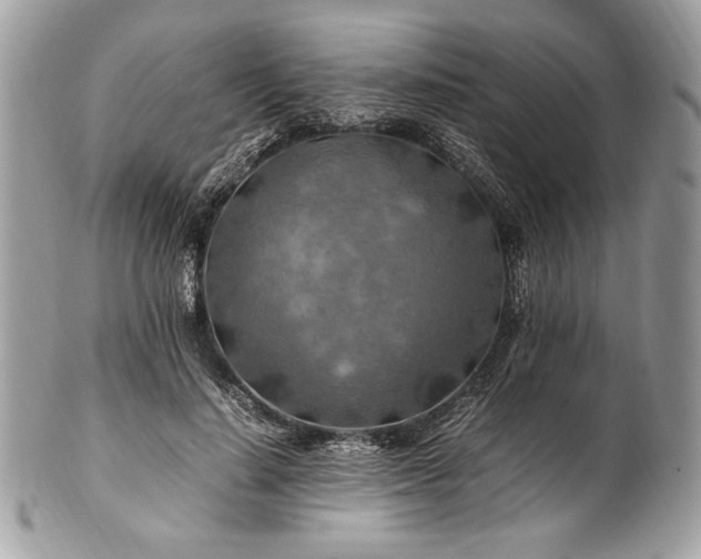 X0000100880644200807071127