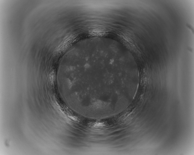 X0000100880647200807071127