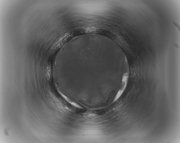 X0000100880648200807071127