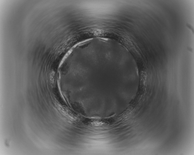 X0000100880650200807071127