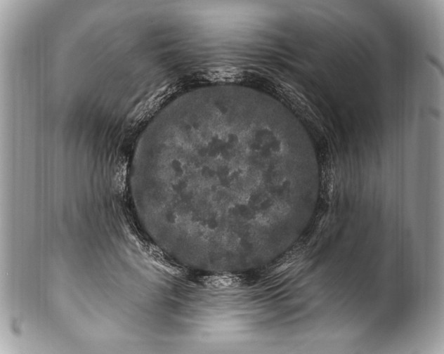 X0000100880652200807071127