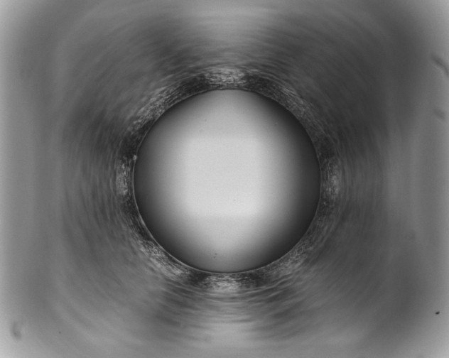 X0000100880658200807071127