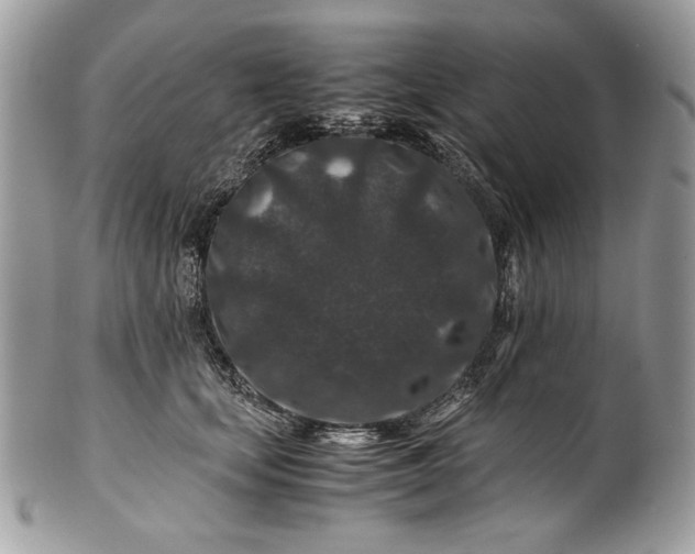 X0000100880659200807071127