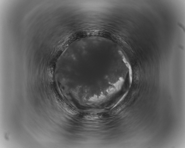 X0000100880661200807071127