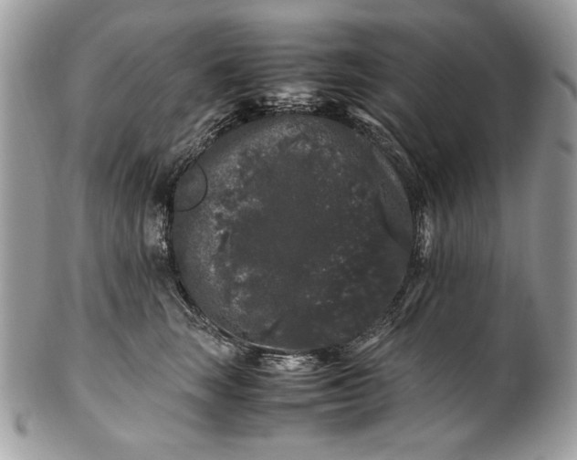 X0000100880663200807071128