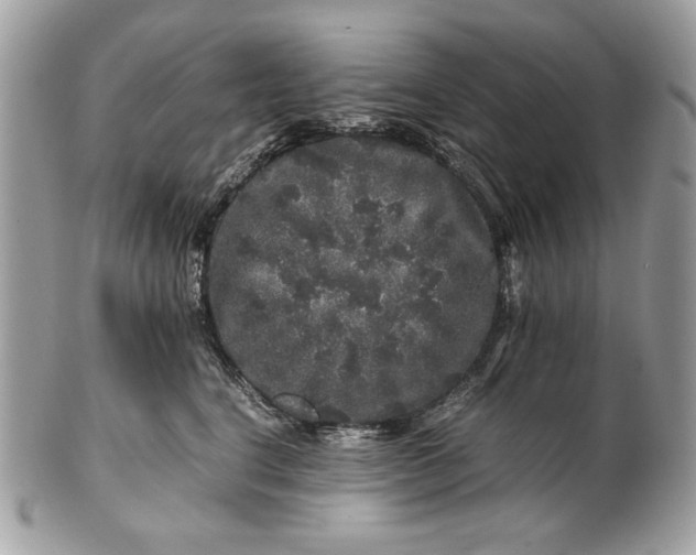 X0000100880664200807071128