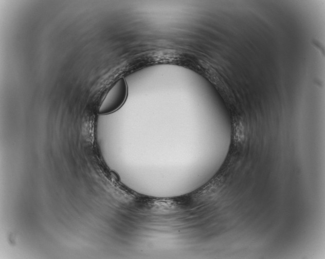 X0000100880666200807071128