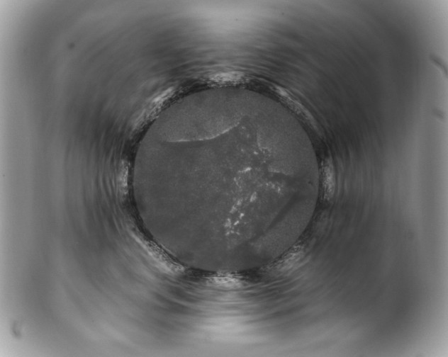 X0000100880668200807071128