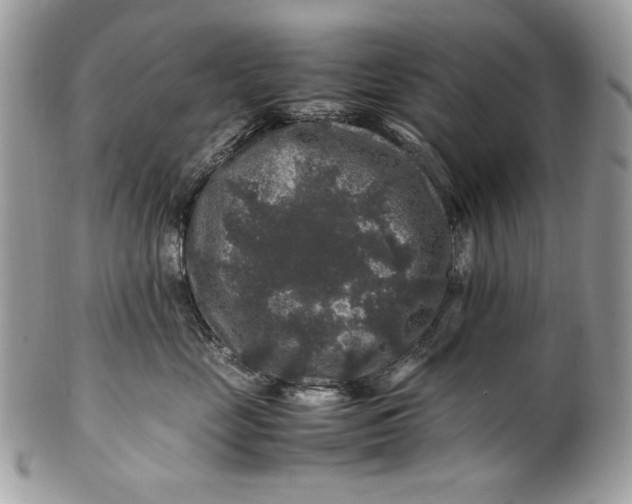 X0000100880669200807071128