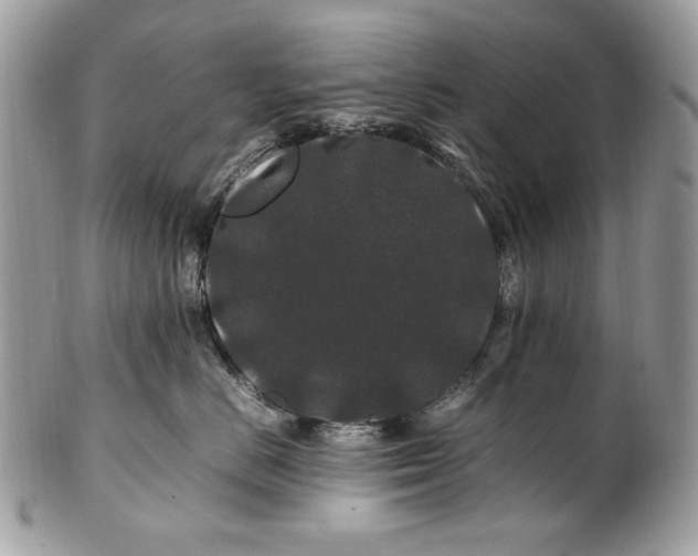 X0000100880670200807071128