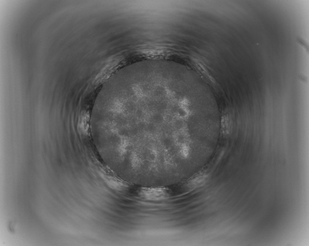 X0000100880671200807071128