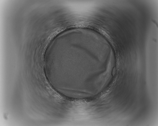 X0000100880673200807071127