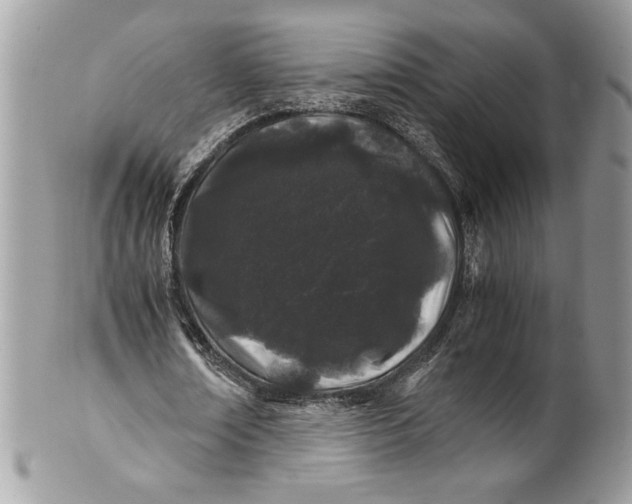 X0000100880674200807071127