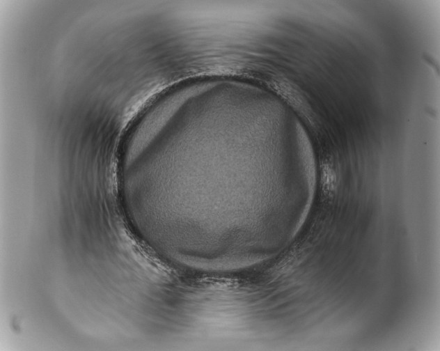 X0000100880676200807071127