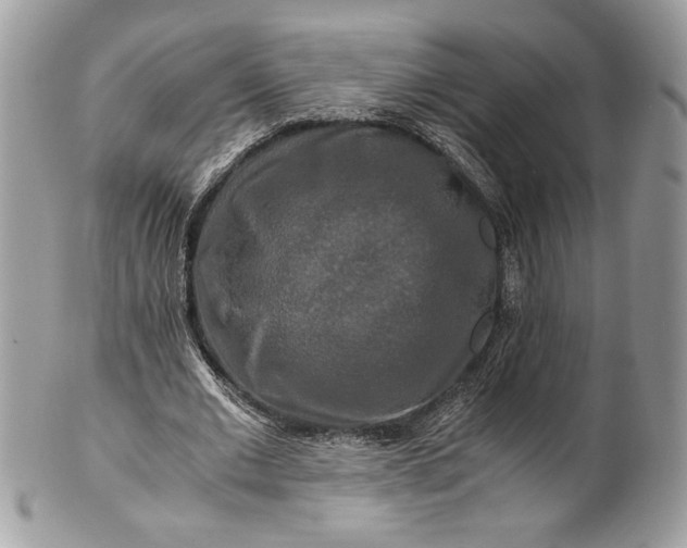 X0000100880677200807071127